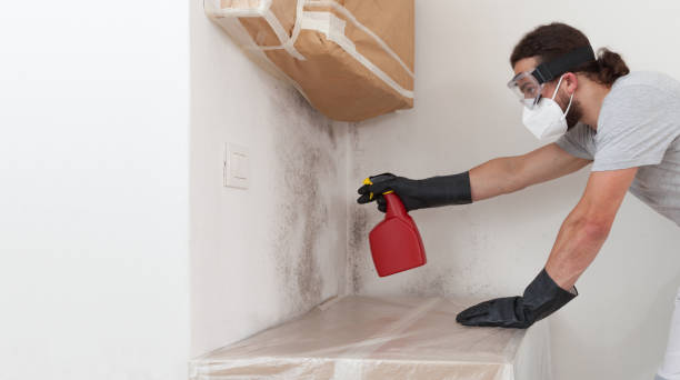 Professional Bathroom Mold Removal technician working in Annandale, NJ