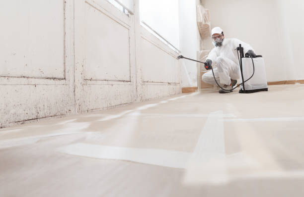 24/7 Emergency Bathroom Mold Removal experts in Annandale, NJ