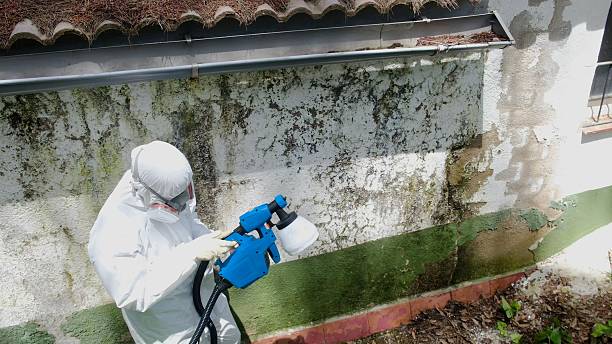 Top rated local Bathroom Mold Removal specialists in Annandale, NJ